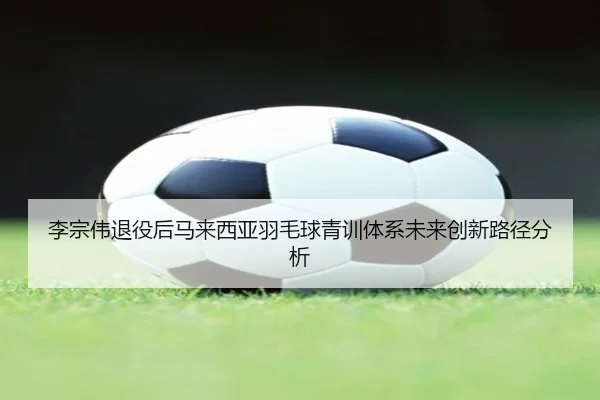 李宗伟退役后马来西亚羽毛球青训体系未来创新路径分析